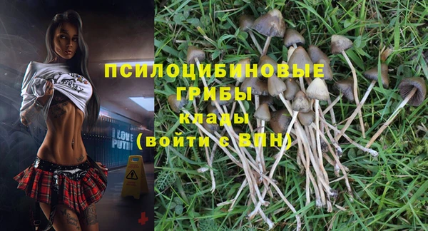 марки nbome Краснослободск